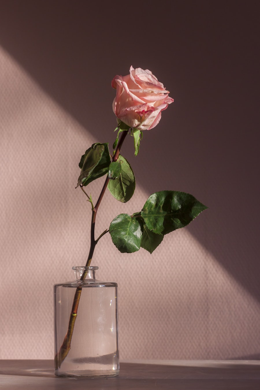 Een bloem van dichtbij